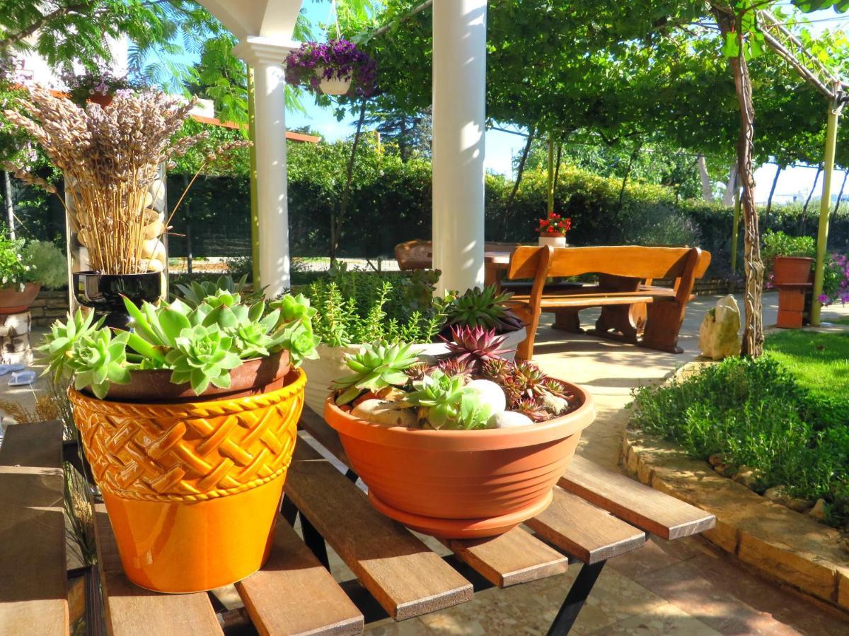 Beach Apartment Roza Biograd Oneroom - Premium Location 比奥格勒·纳·莫鲁 外观 照片