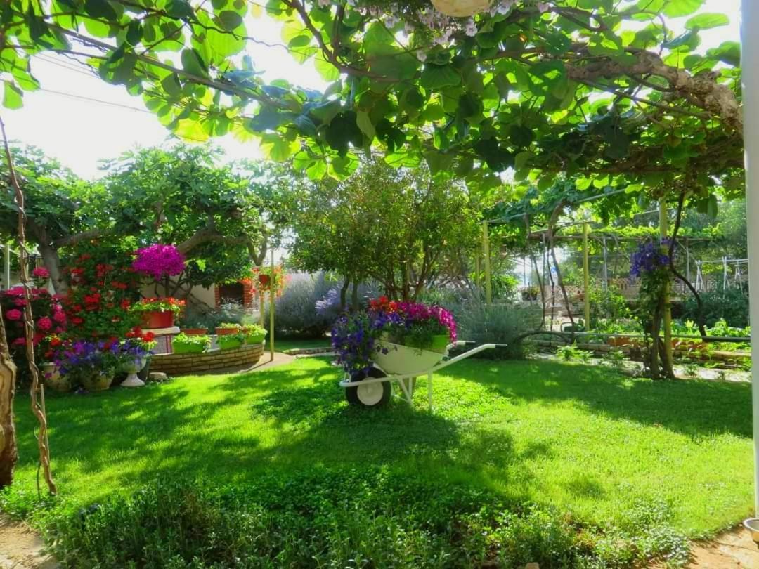 Beach Apartment Roza Biograd Oneroom - Premium Location 比奥格勒·纳·莫鲁 外观 照片