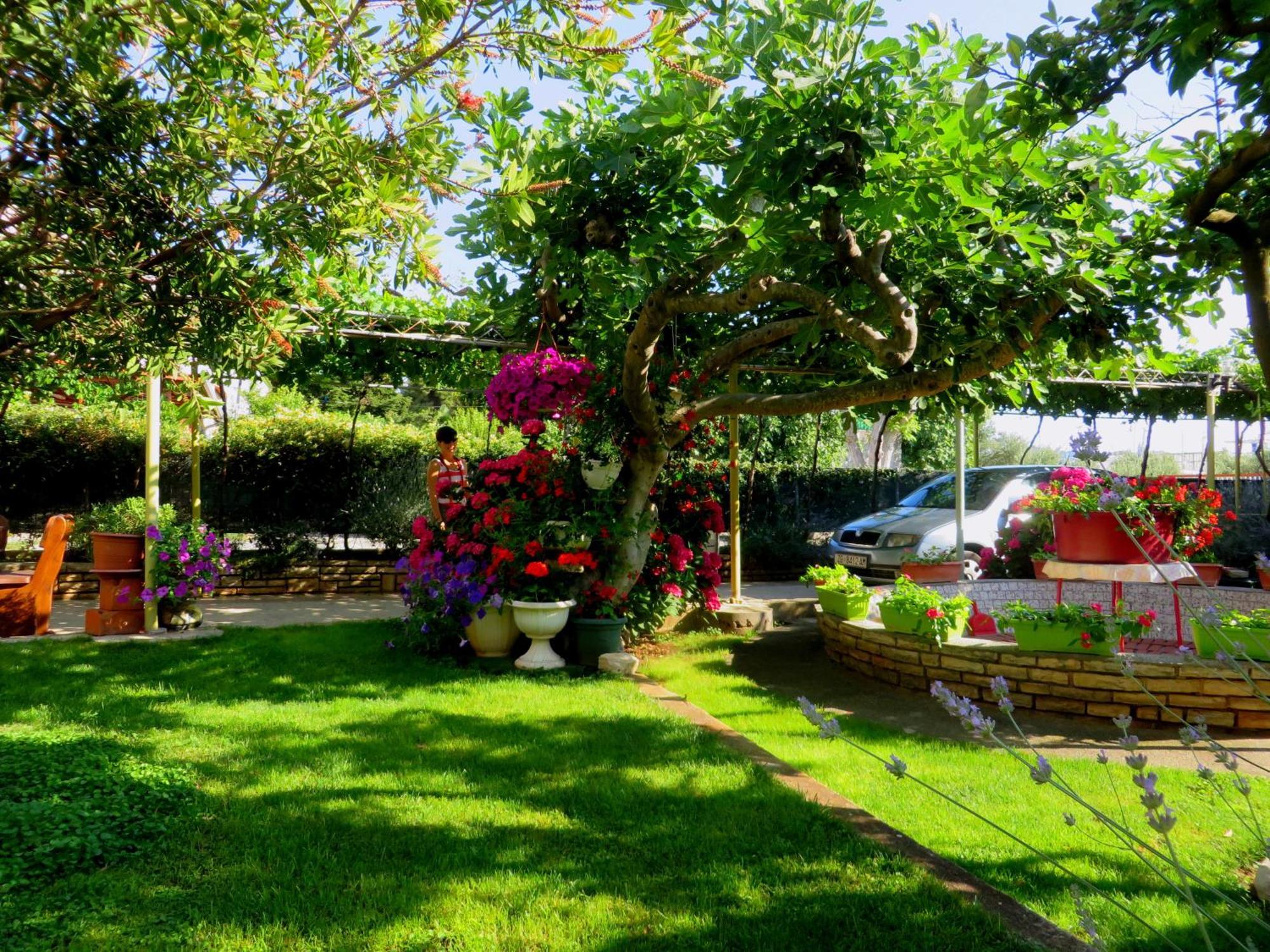 Beach Apartment Roza Biograd Oneroom - Premium Location 比奥格勒·纳·莫鲁 外观 照片